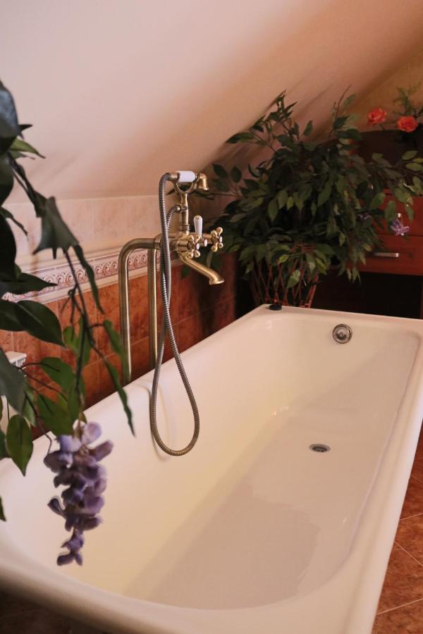 Wisniowa  Grand Panorama B&B 외부 사진